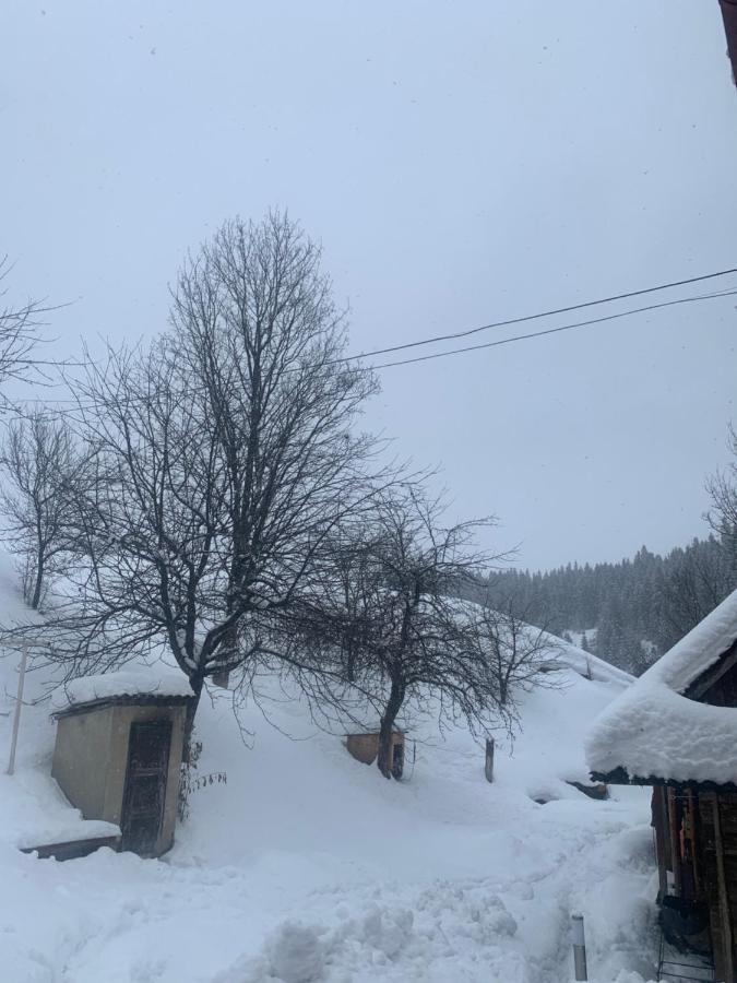 Cottage house Padóc Kültér fotó