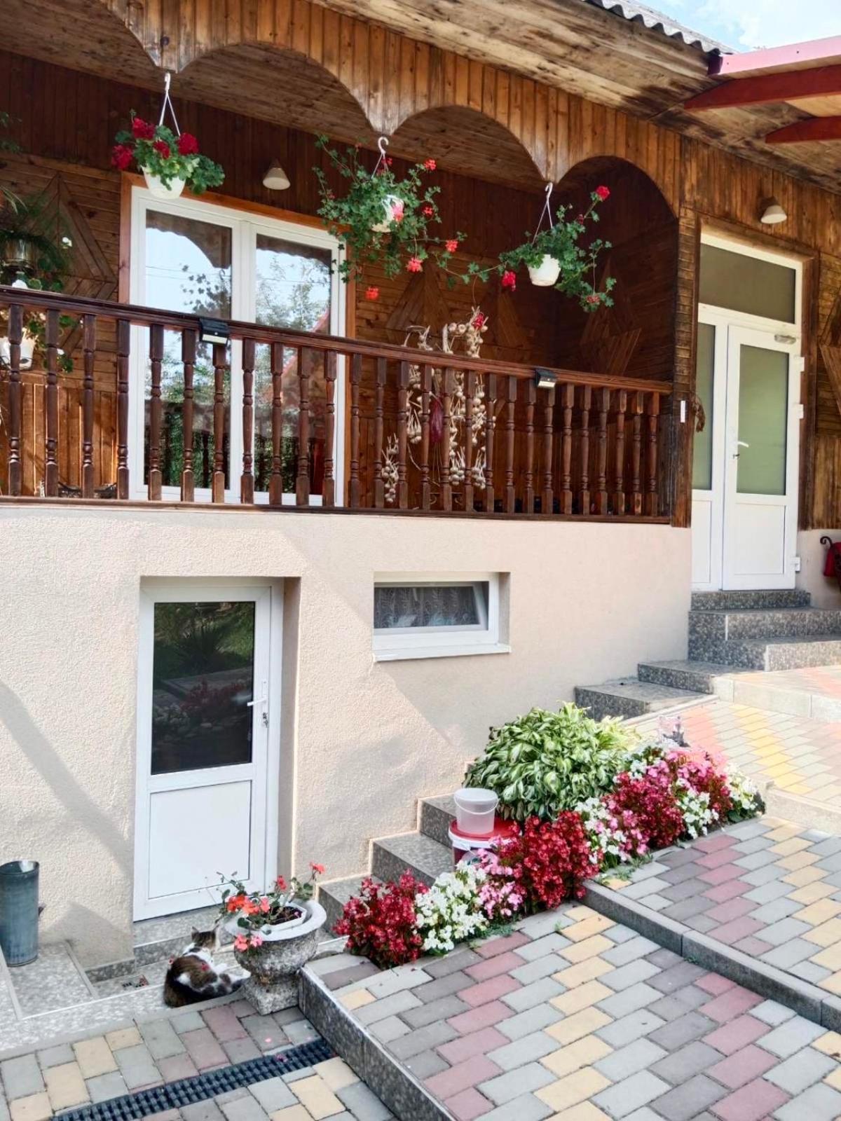 Cottage house Padóc Kültér fotó