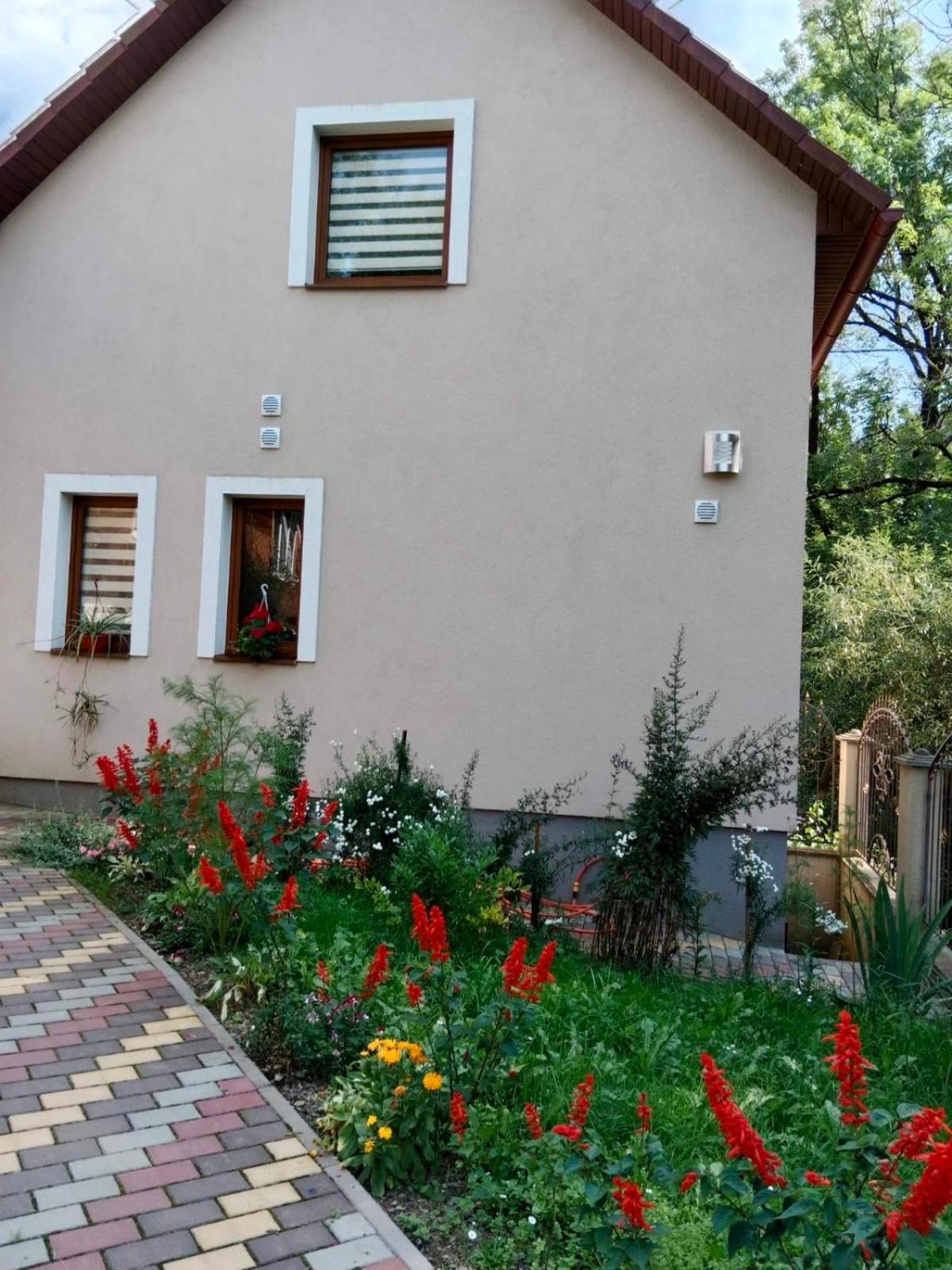 Cottage house Padóc Kültér fotó